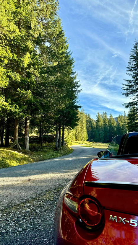 Détail trip 3